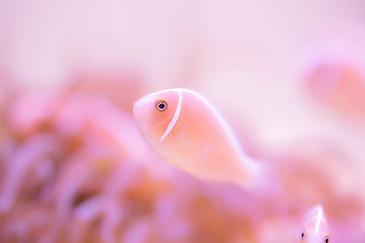 鳥羽水族館 外観