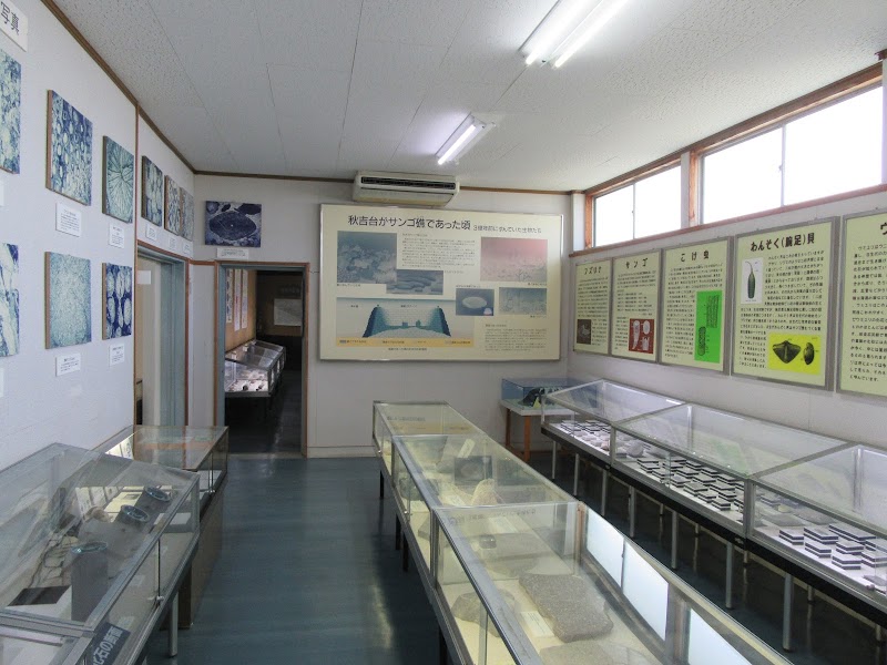 美祢市立秋吉台科学博物館 展示