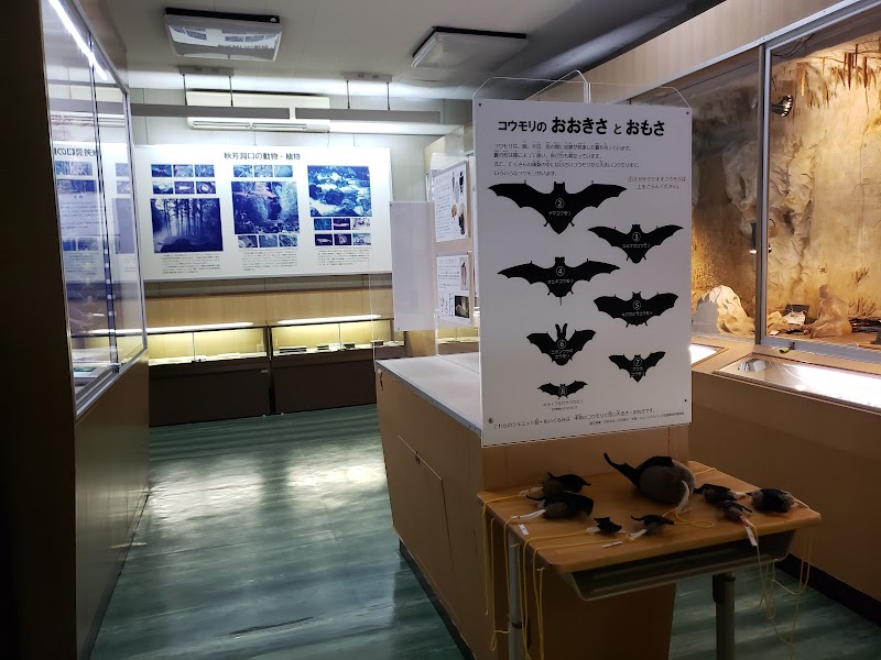 美祢市立秋吉台科学博物館 体験