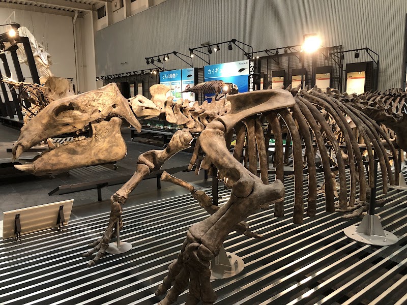 足寄動物化石博物館 外観