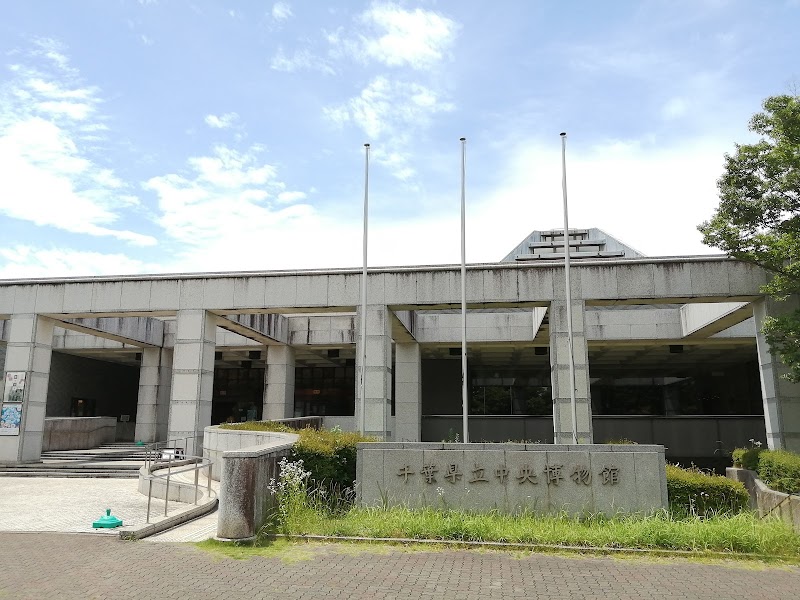 千葉県立中央博物館 体験