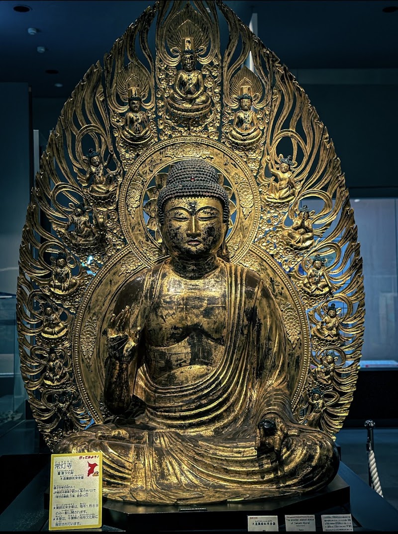 千葉県立中央博物館 詳細