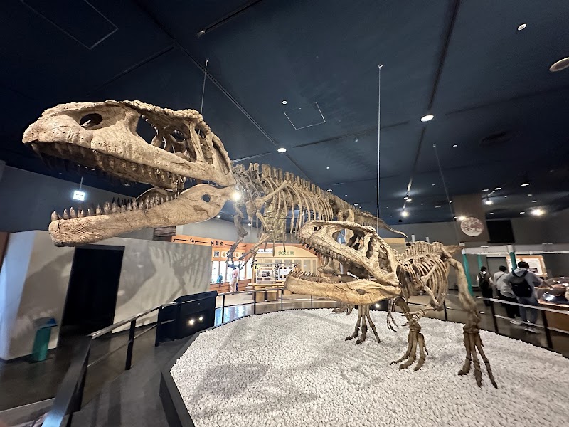 FUJIなごや科学館(旧:名古屋市科学館) 展示