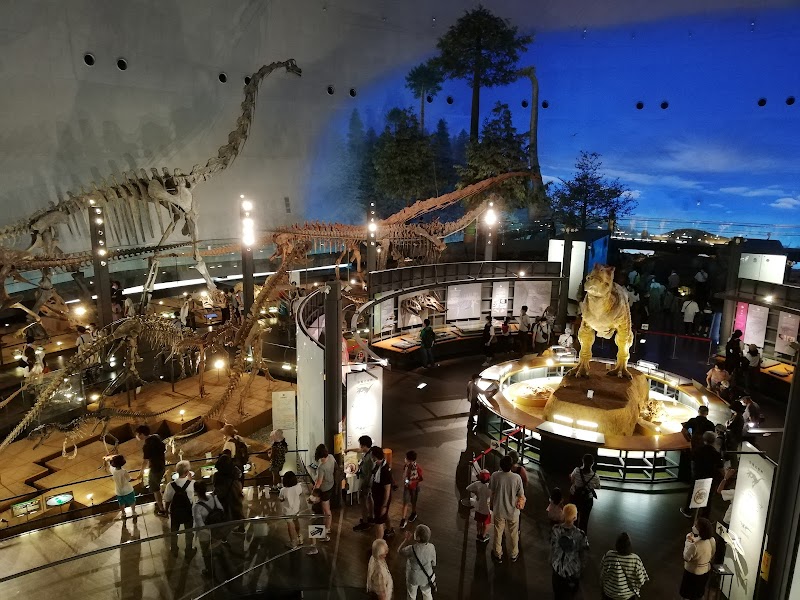 福井県立恐竜博物館 展示