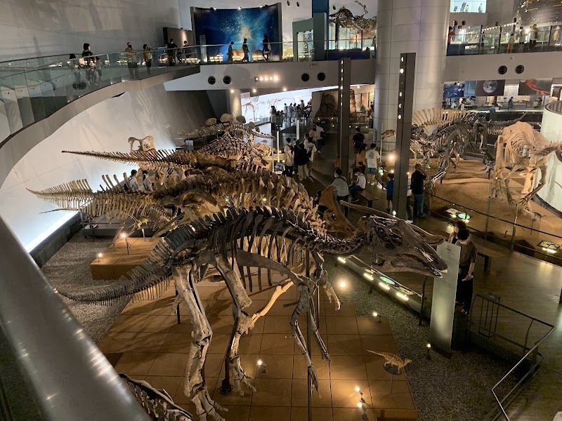 福井県立恐竜博物館 体験