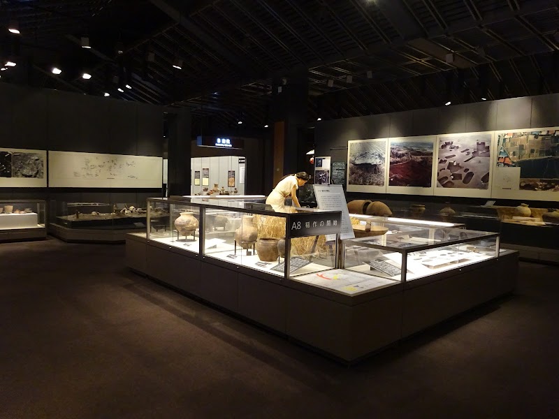 福島県立博物館 体験