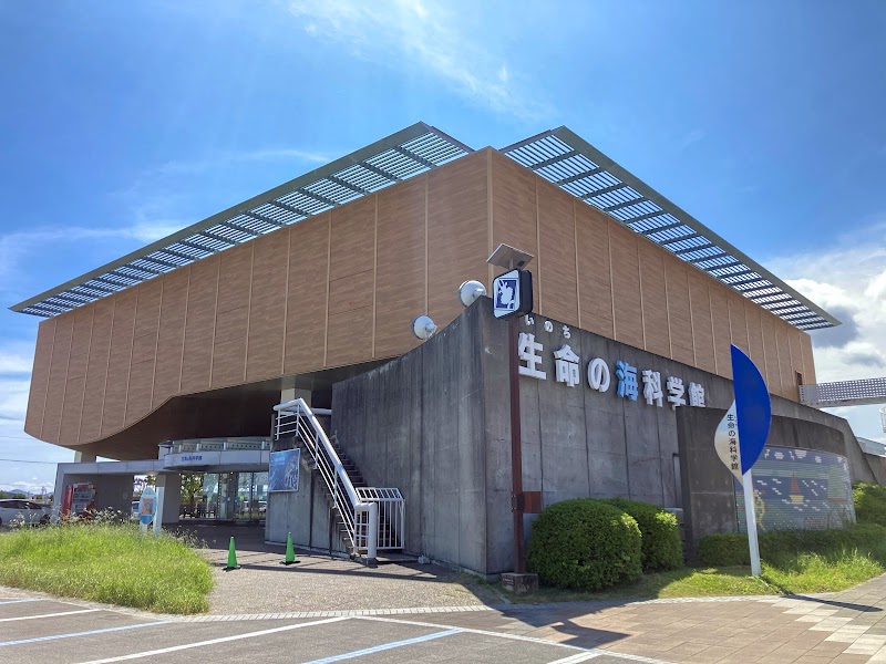 蒲郡市生命の海科学館 体験