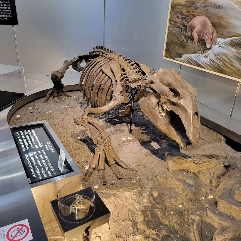 地質標本館 外観