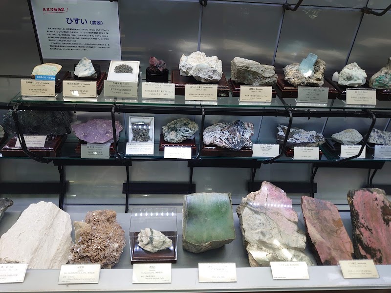 地質標本館 展示