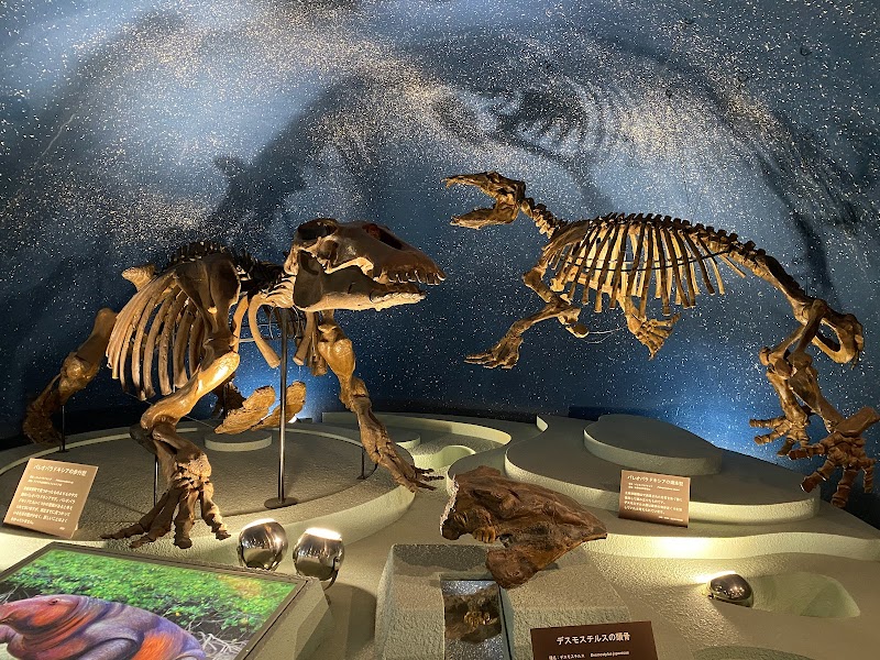 岐阜県博物館 体験