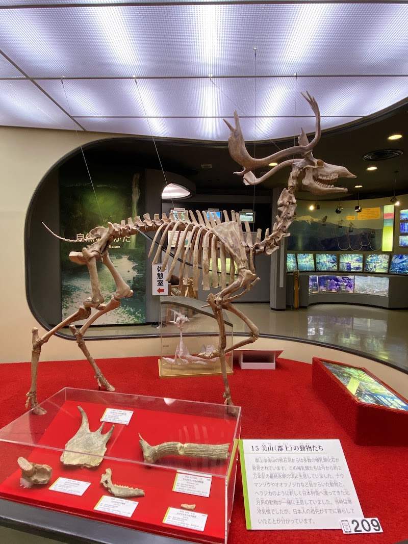 岐阜県博物館 詳細