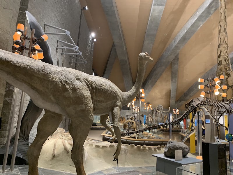 群馬県立自然史博物館 外観