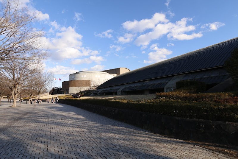 群馬県立自然史博物館 展示