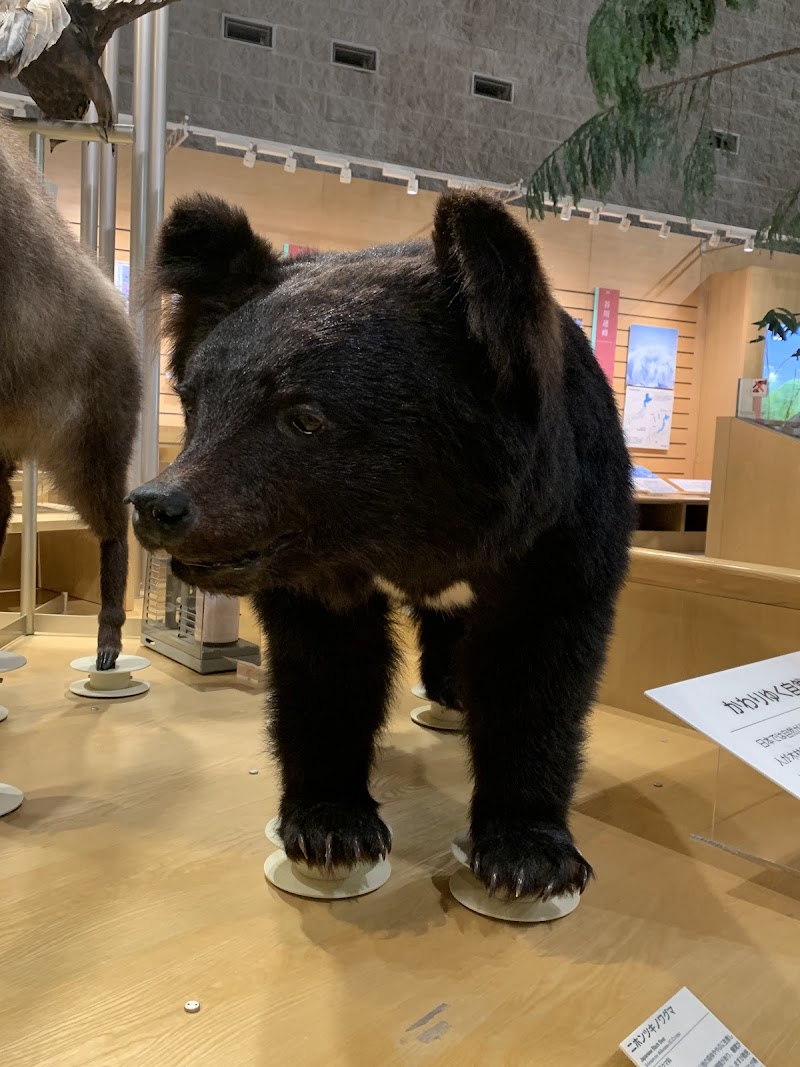 群馬県立自然史博物館 体験
