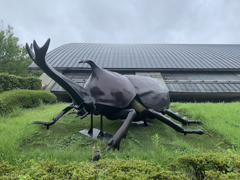 群馬県立自然史博物館 詳細