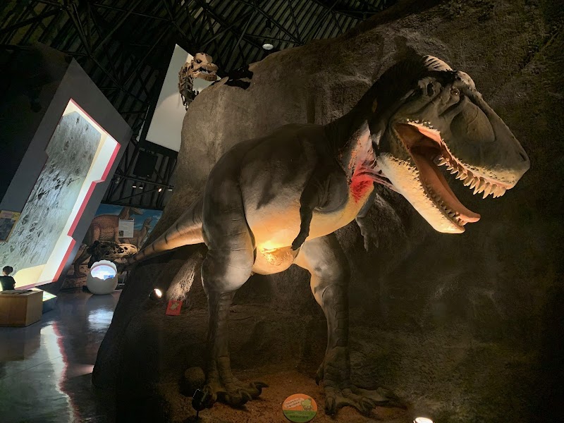 白山恐竜パーク白峰 展示