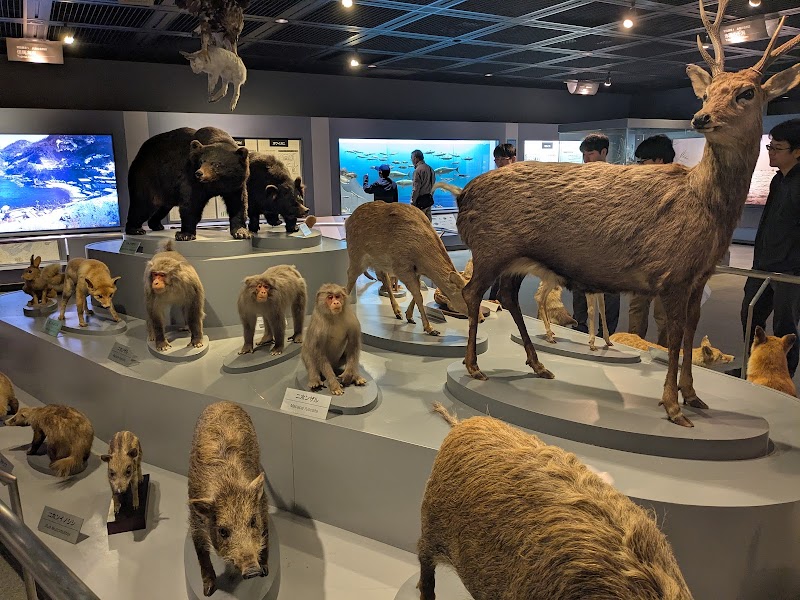 兵庫県立人と自然の博物館(ひとはく) 外観