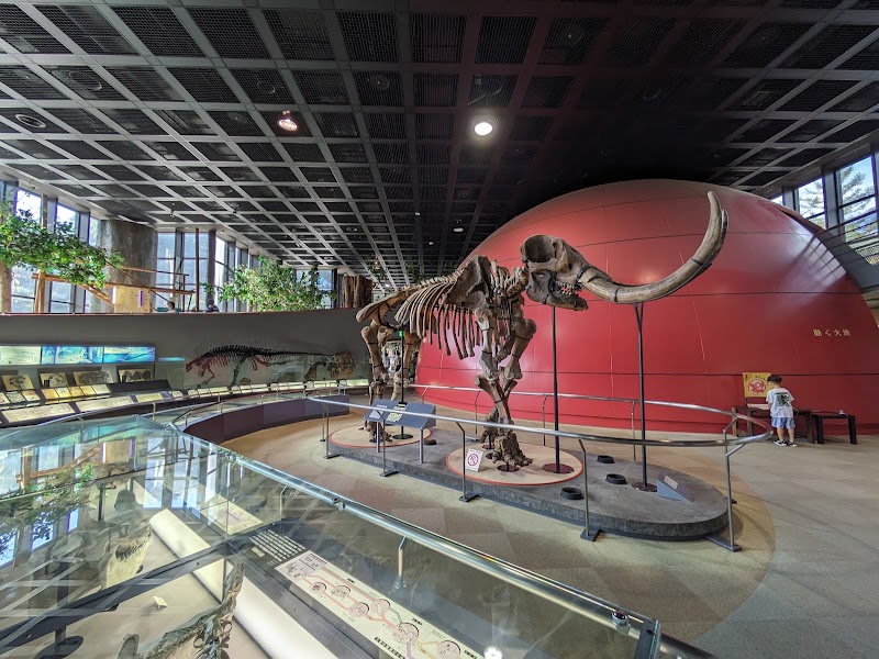 兵庫県立人と自然の博物館(ひとはく) 展示