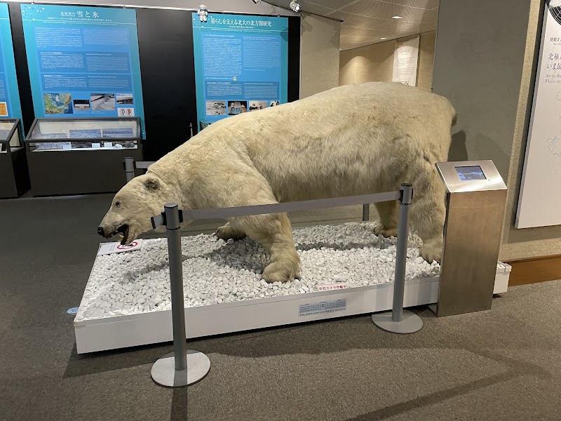 北海道大学総合博物館 詳細