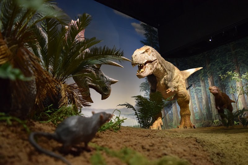 ミュージアムパーク茨城県自然博物館 外観