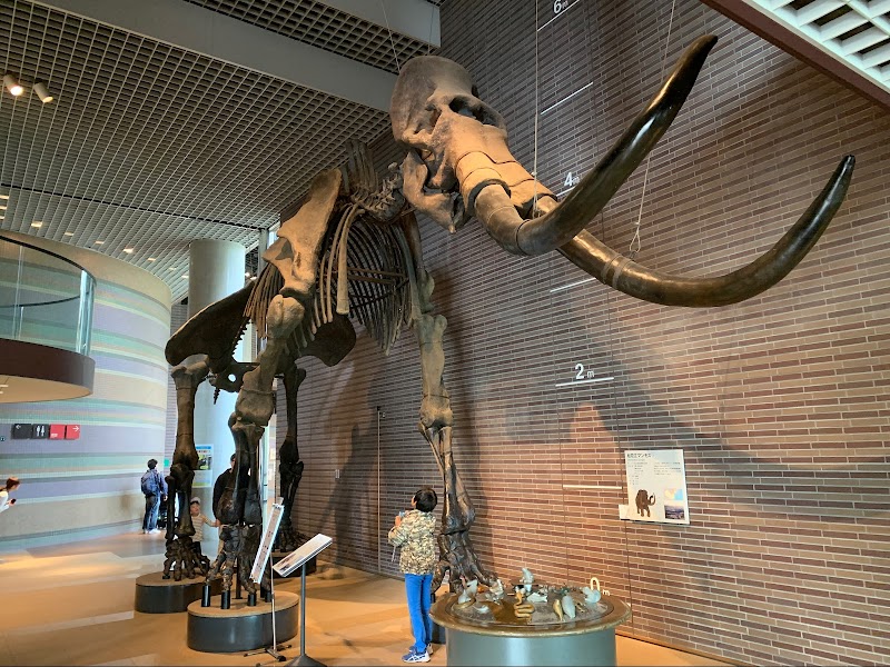 ミュージアムパーク茨城県自然博物館 展示