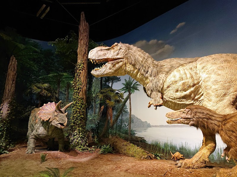 ミュージアムパーク茨城県自然博物館 体験