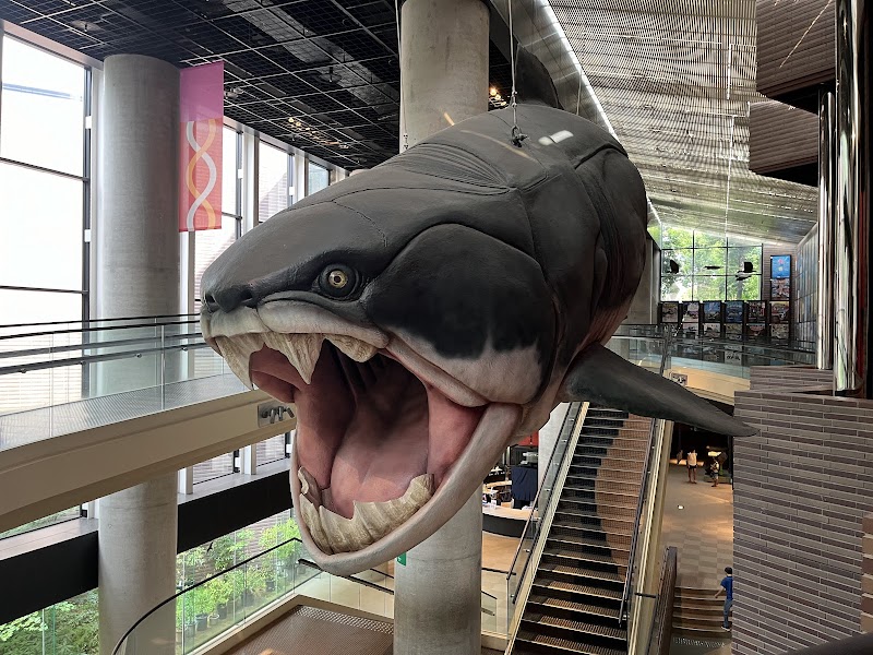 ミュージアムパーク茨城県自然博物館 詳細