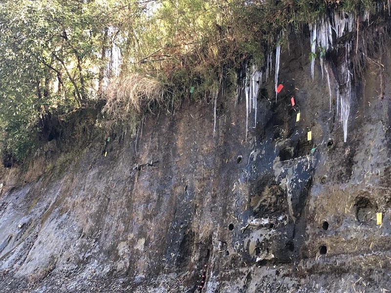 千葉県市原市・チバニアンビジターセンター 詳細