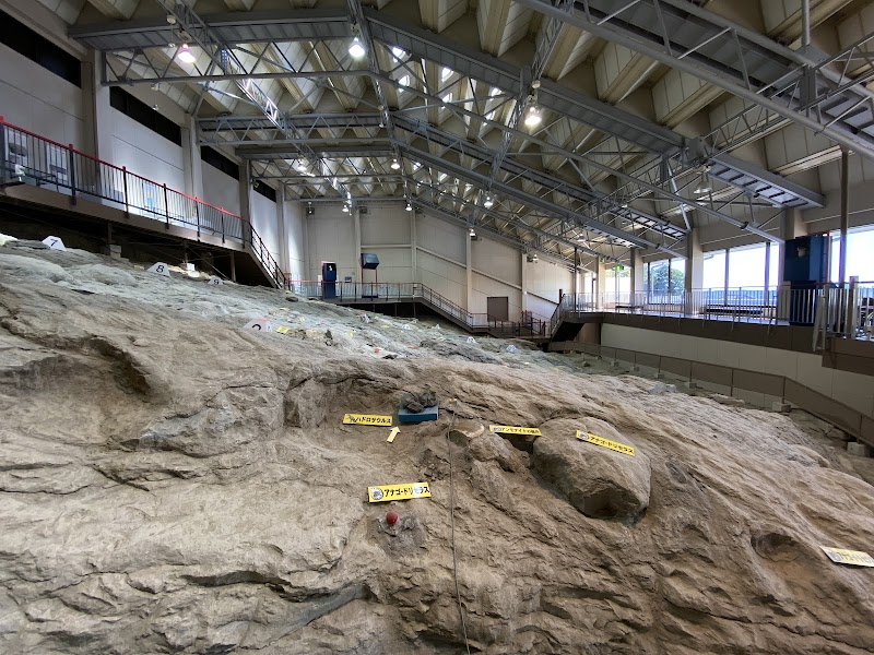 いわき市アンモナイトセンター 展示
