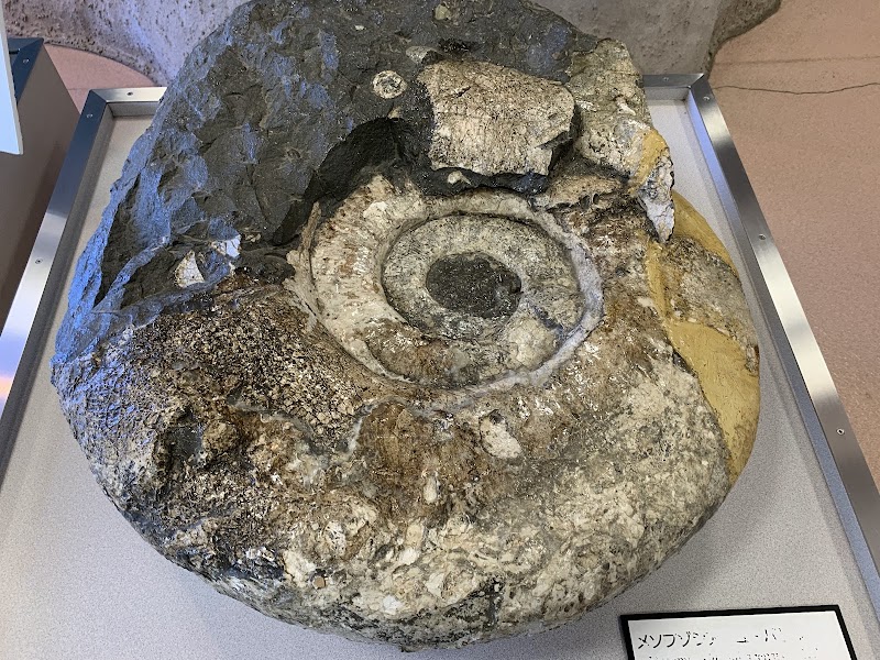 いわき市アンモナイトセンター 詳細