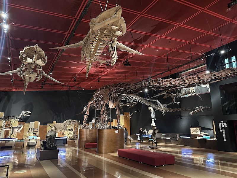 いわき市石炭・化石館 ほるる 展示