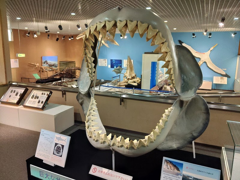 岩手県立博物館 展示