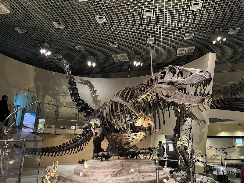 国立科学博物館(かはく) 詳細