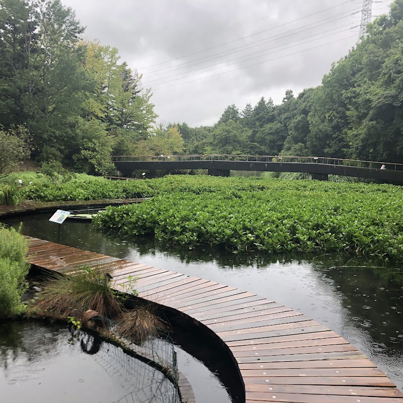 国立科学博物館 筑波実験植物園・自然教育園 外観