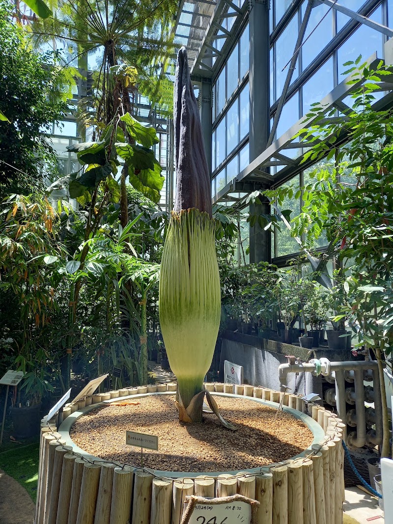 国立科学博物館 筑波実験植物園・自然教育園 体験