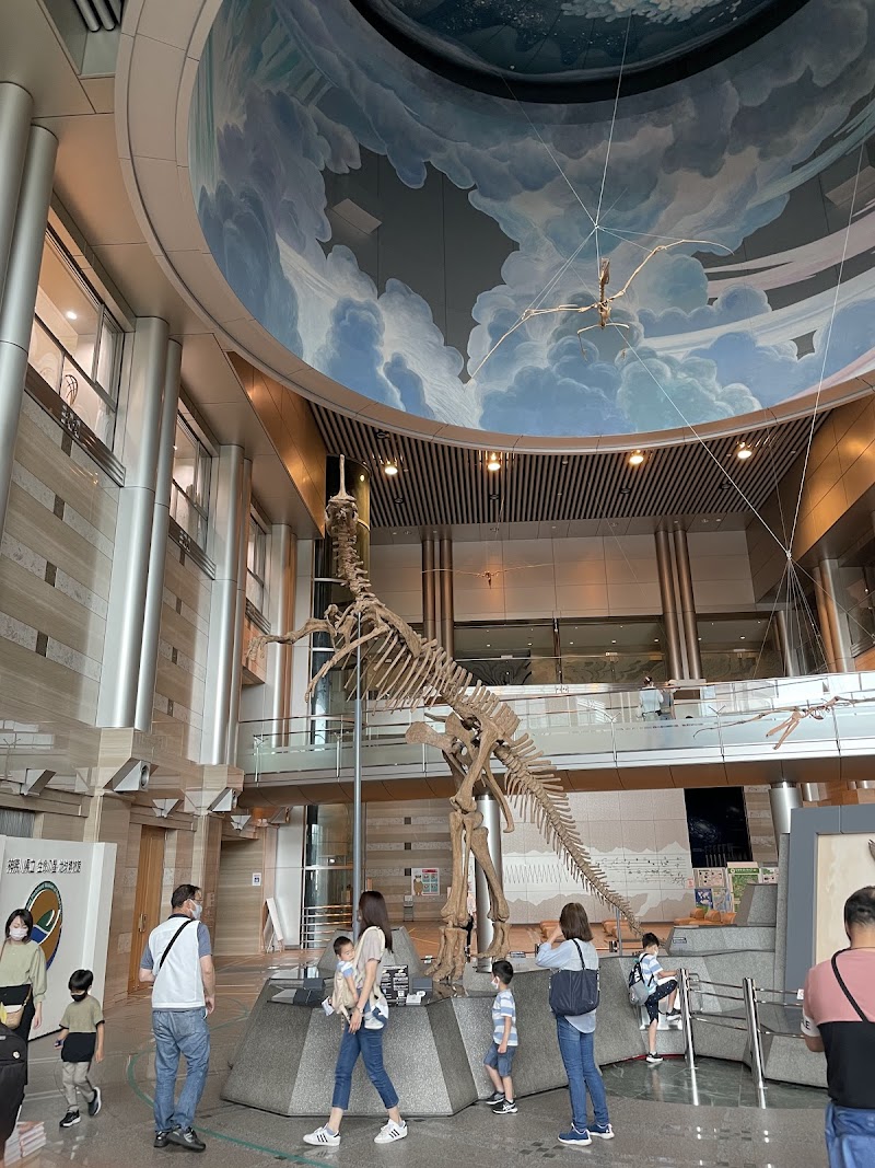 神奈川県立生命の星・地球博物館 詳細