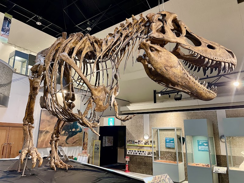 神流町恐竜センター 展示