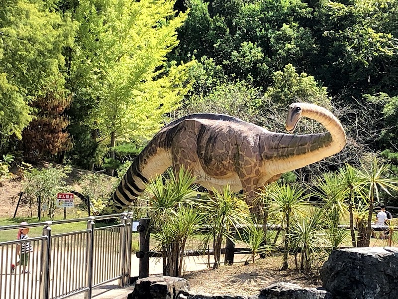 笠岡市立カブトガニ博物館 展示