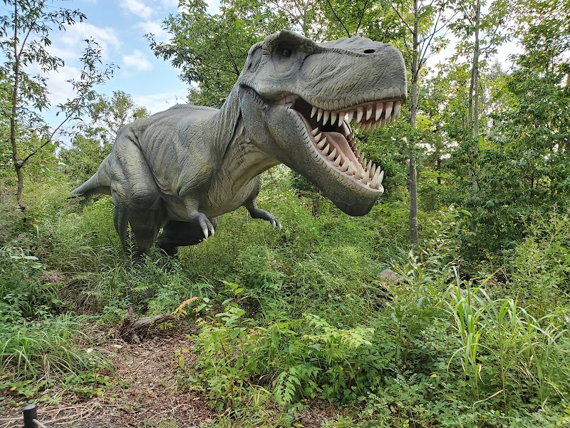 かつやま恐竜の森 体験