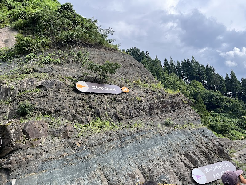 野外恐竜博物館(かつやま恐竜の森・第3次発掘調査現場) 外観