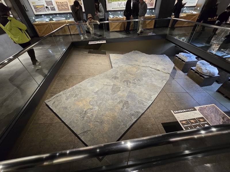 野外恐竜博物館(かつやま恐竜の森・第3次発掘調査現場) 体験