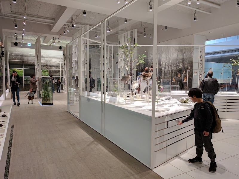 かわさき宙(そら)と緑の科学館 展示