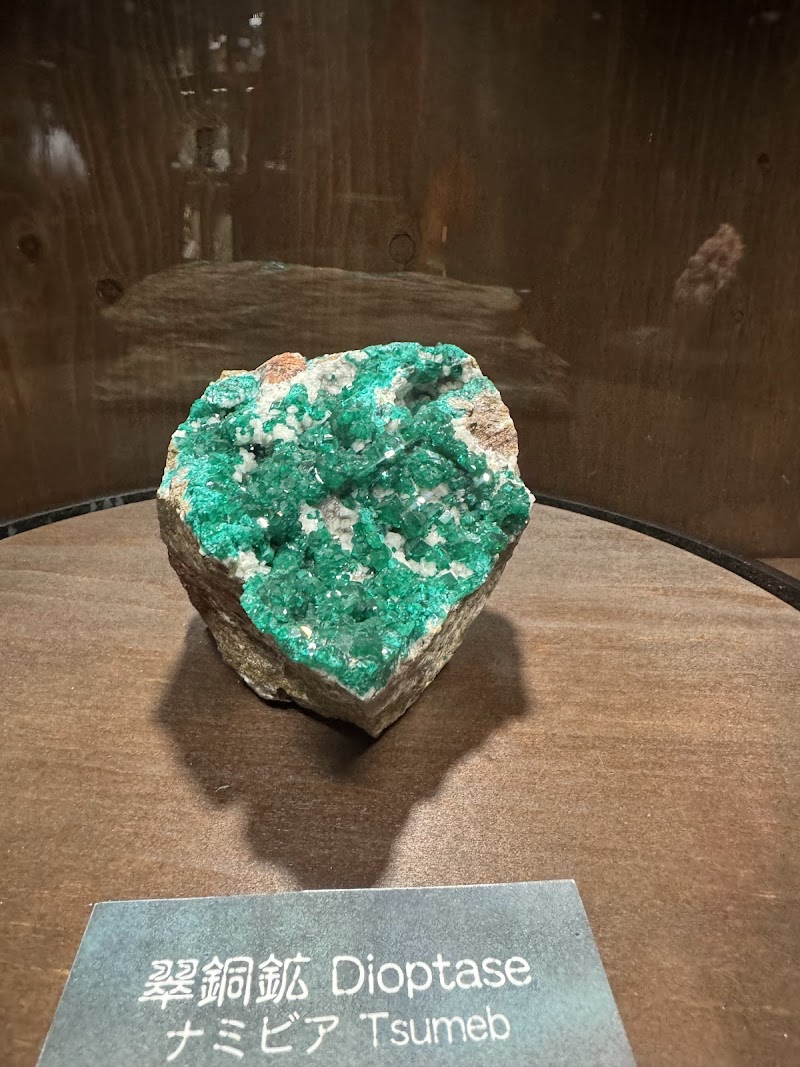 奇石博物館 外観