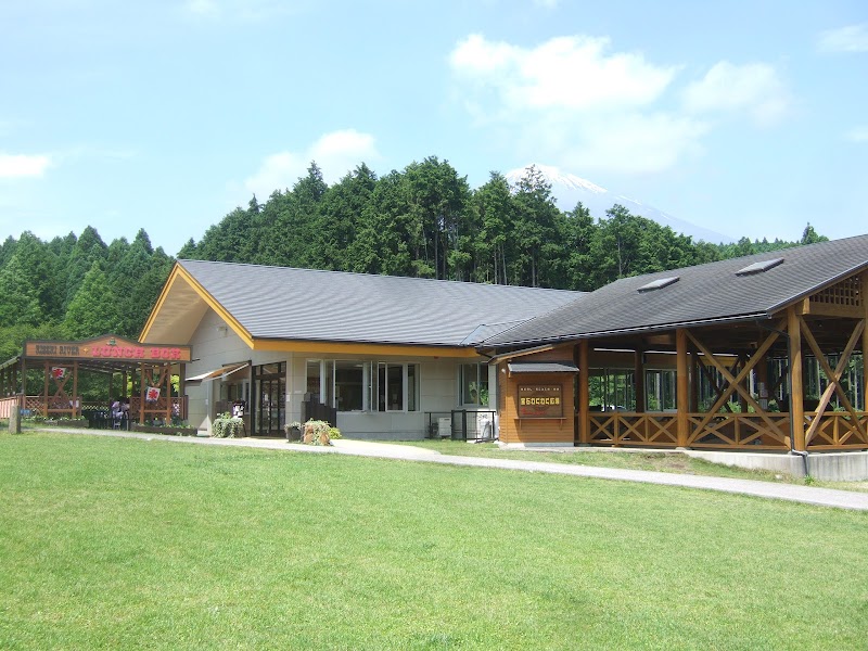 奇石博物館 展示