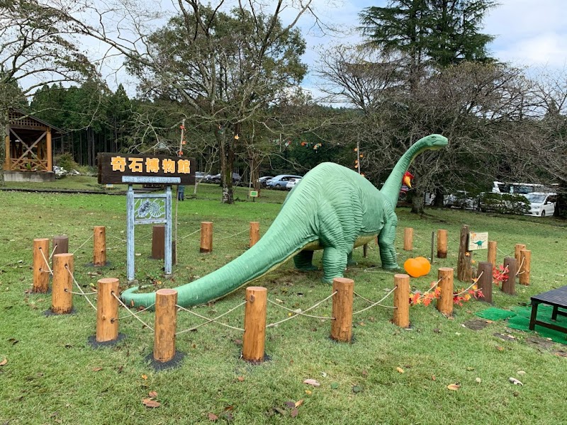 奇石博物館 体験