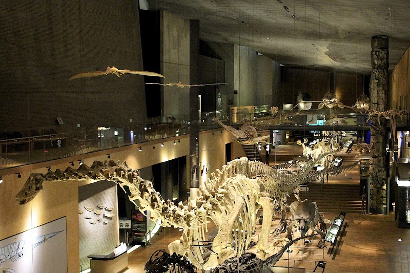 北九州市立いのちのたび博物館 外観