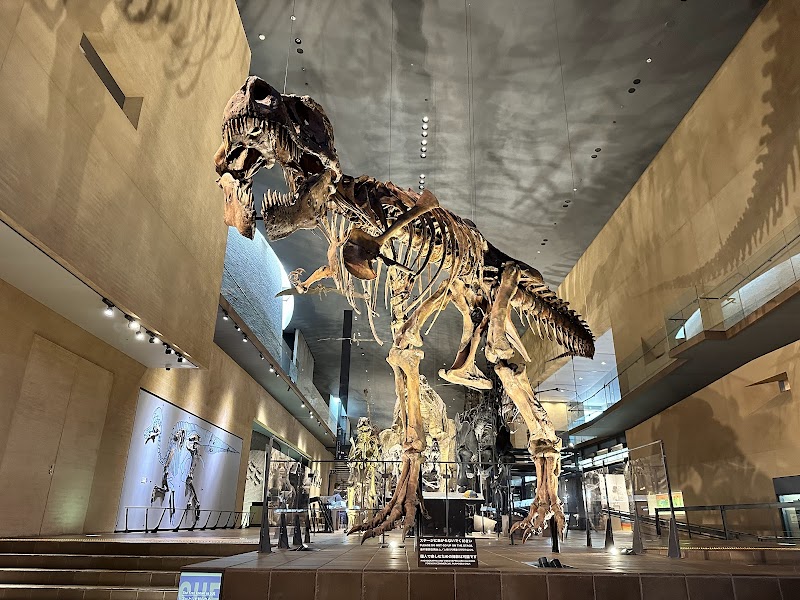 北九州市立いのちのたび博物館 展示