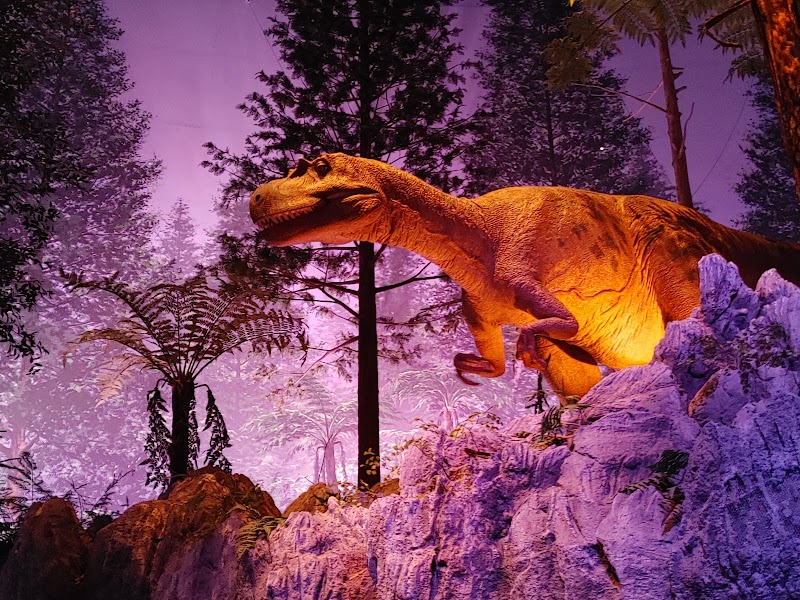 北九州市立いのちのたび博物館 体験