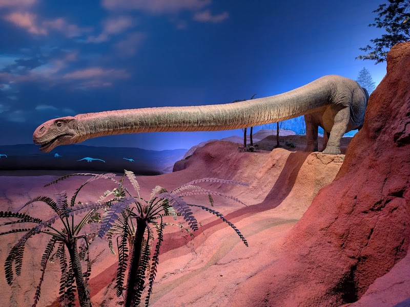 北九州市立いのちのたび博物館 詳細