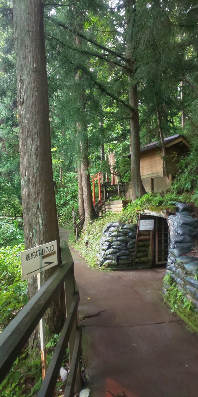 久慈琥珀博物館 体験